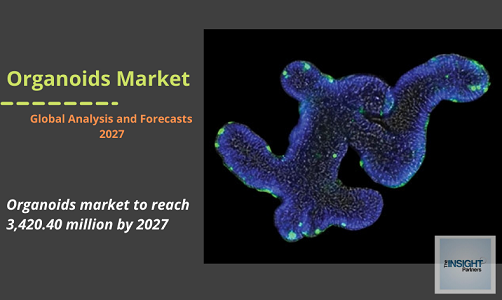 Organoids Market is projected to reach US$ 3,420.40 million by 2027 and ...