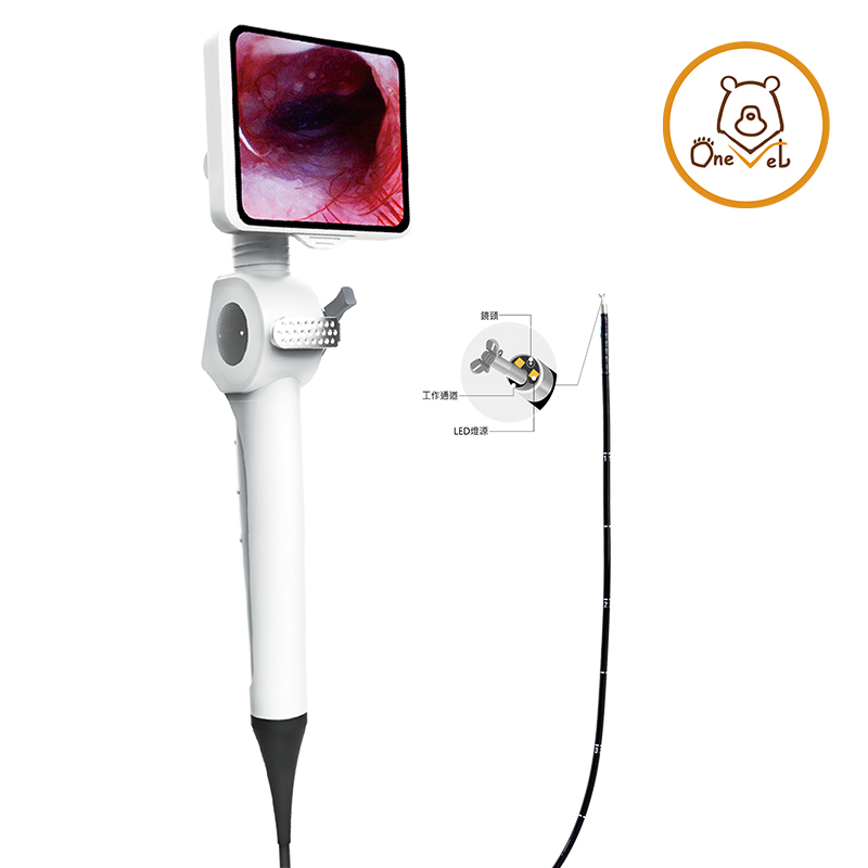 TheOne Medical Introduces OneVet Veterinary Endoscope, A Versatile and
