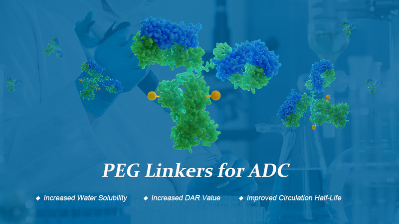 Biopharma PEG Develops PEG Derivatives For ADCs Development - PharmiWeb.com