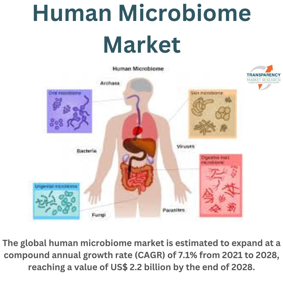 Human Microbiome Market Set To Grow At Cagr Reaching Usd Billion By Tmr