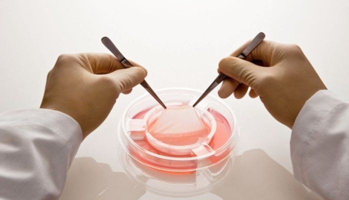 Global Tissue Engineered Skin Substitutes Market Records 4.2% CAGR Boost from Emerging Markets 2035