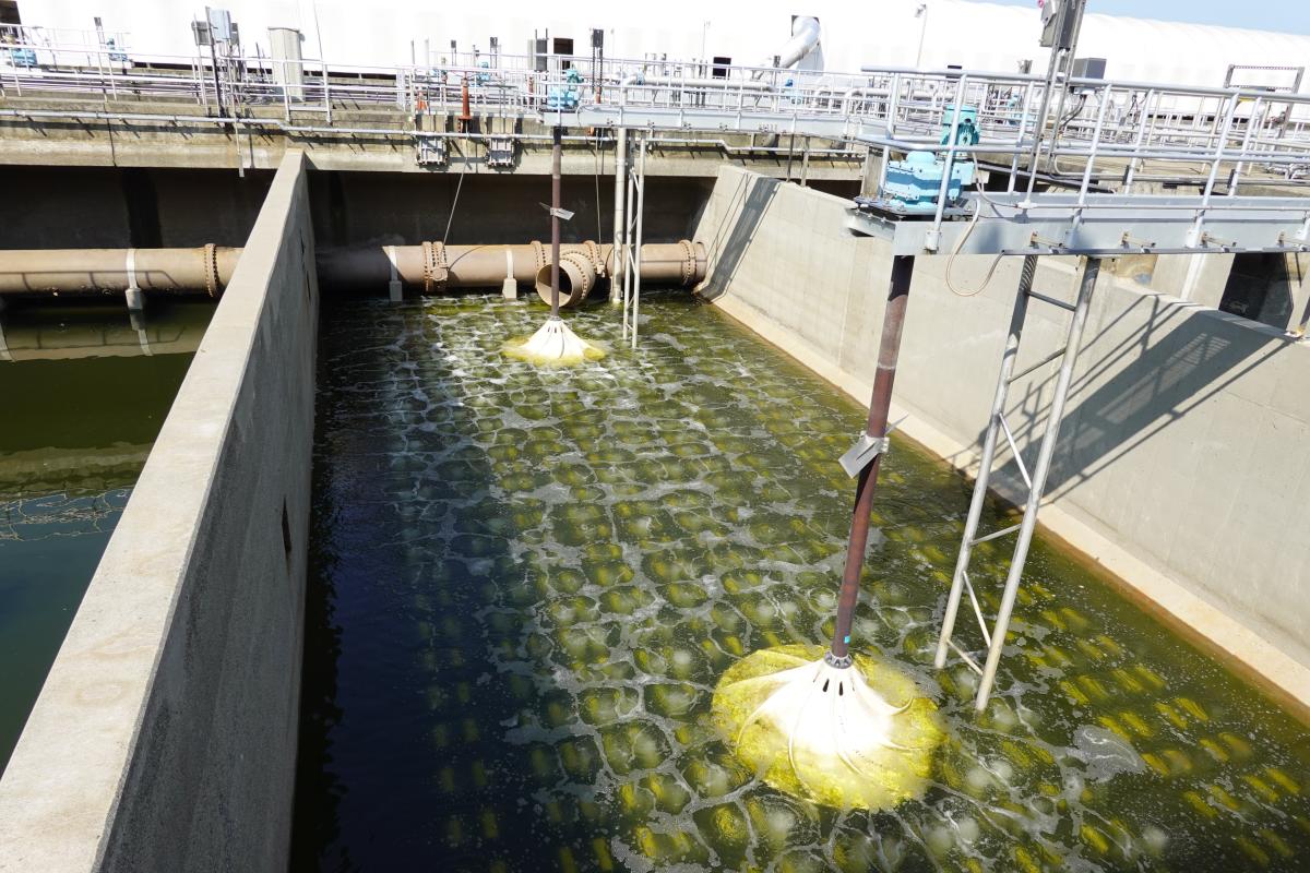 Biotechnology Market | Research Report , Key Forces Shaping the Next Decade of Growth by 2029