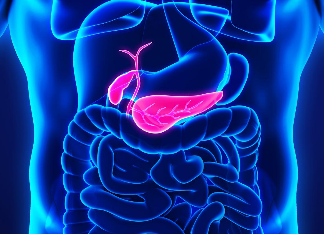 Enzymes Treatment And Pancreatic Cancer PharmiWeb