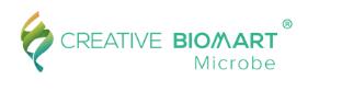 Creative BioMart Microbe Provides One-stop Microbial Protein Expression ...